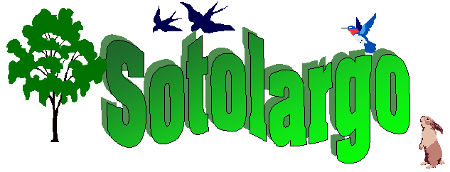 Logotipo de Asociación Sotolargo